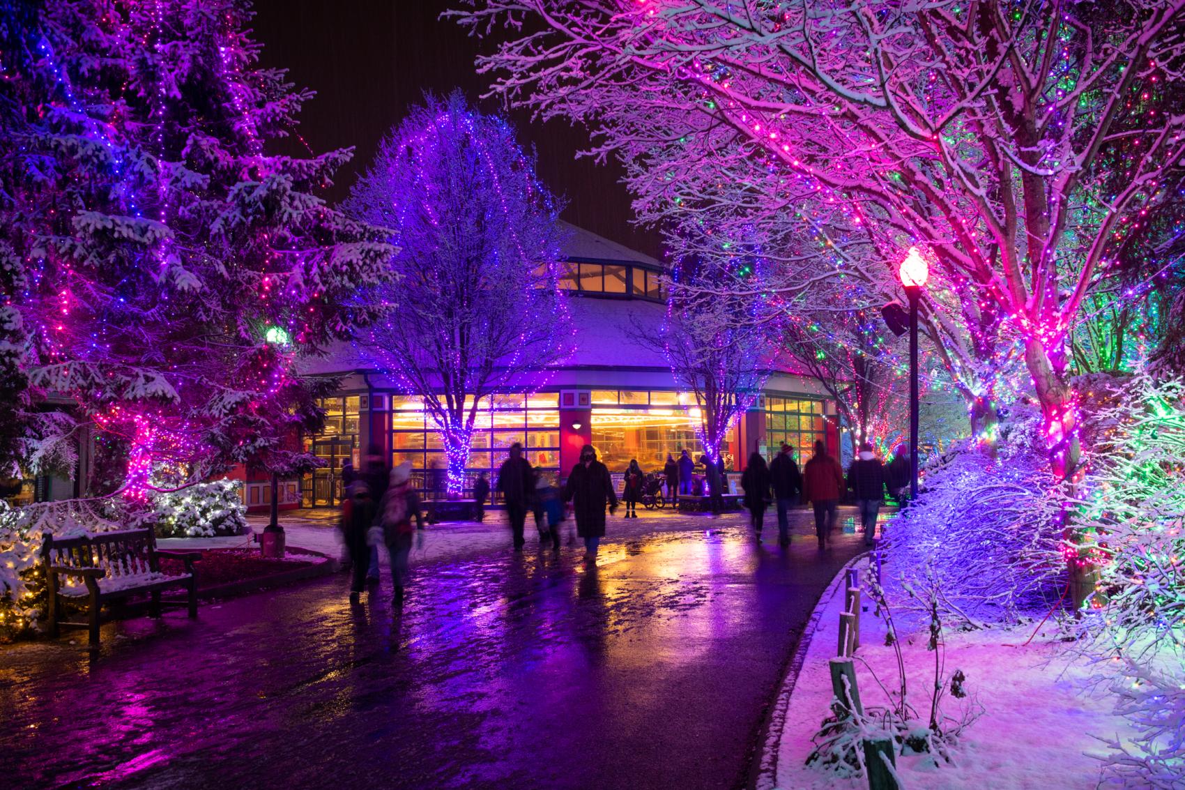 Columbus Zoo And Aquarium | Wildlights Zoo Lights